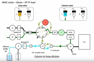 protein purification