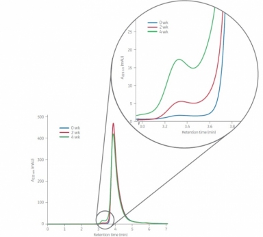 size exclusion chromatography