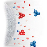 ion exchange chromatography