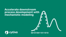 downstream process development